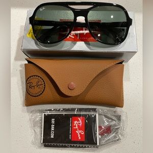 Ray-Ban Powderhorn RB4357 Sunglasses 6545/31 Black Clear Frame